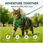 Rttochfy no choke pet vest harness metal leash clip close up