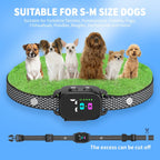 RICIVI brand packaging and collar set for small pets