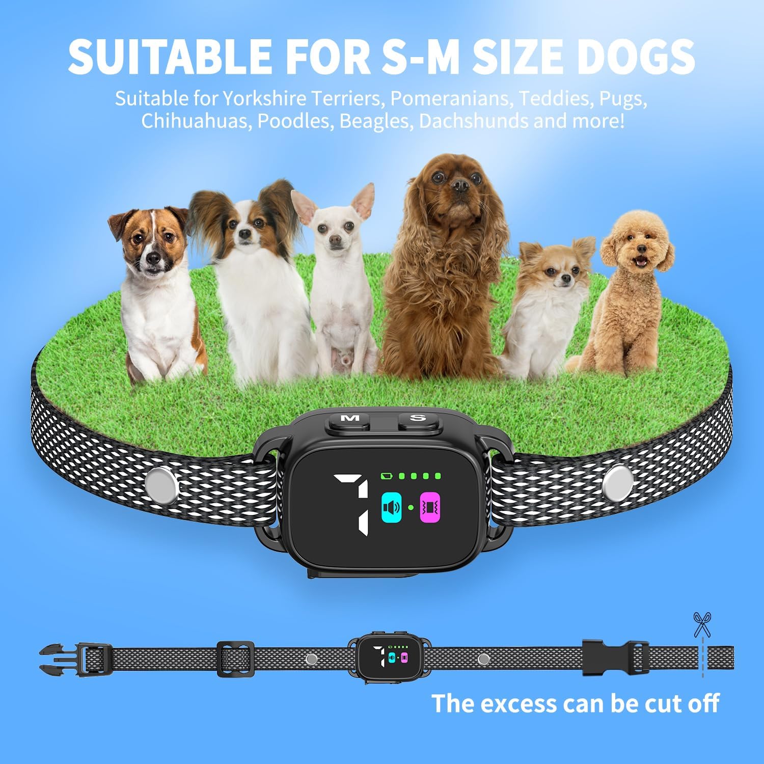 RICIVI brand packaging and collar set for small pets