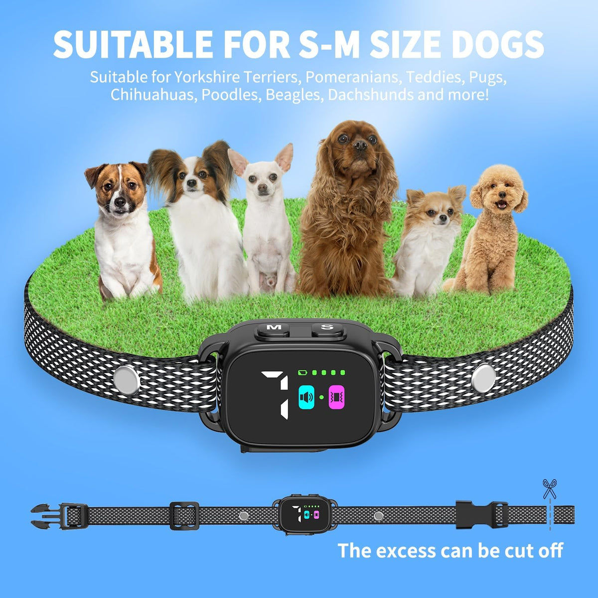 RICIVI brand packaging and collar set for small pets