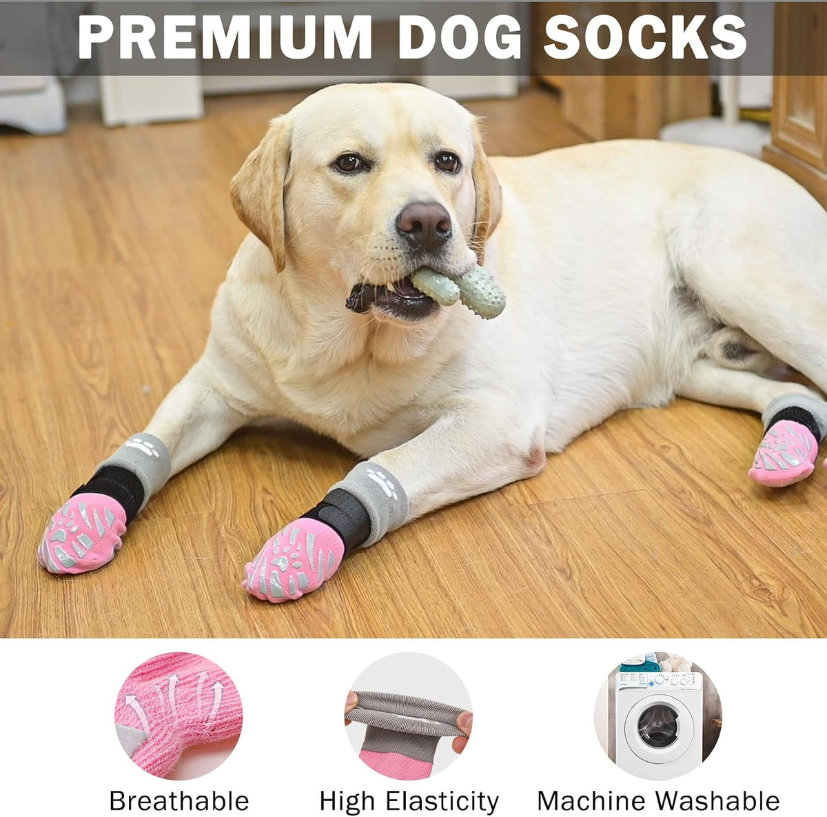 Dog wearing Scenereal socks on hardwood floor