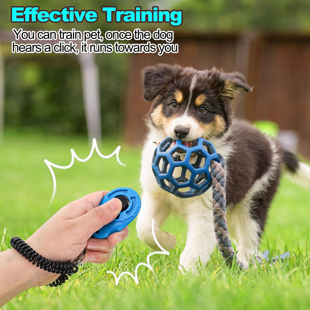 Lawei imported behavioral training clicker tools for dogs and cats