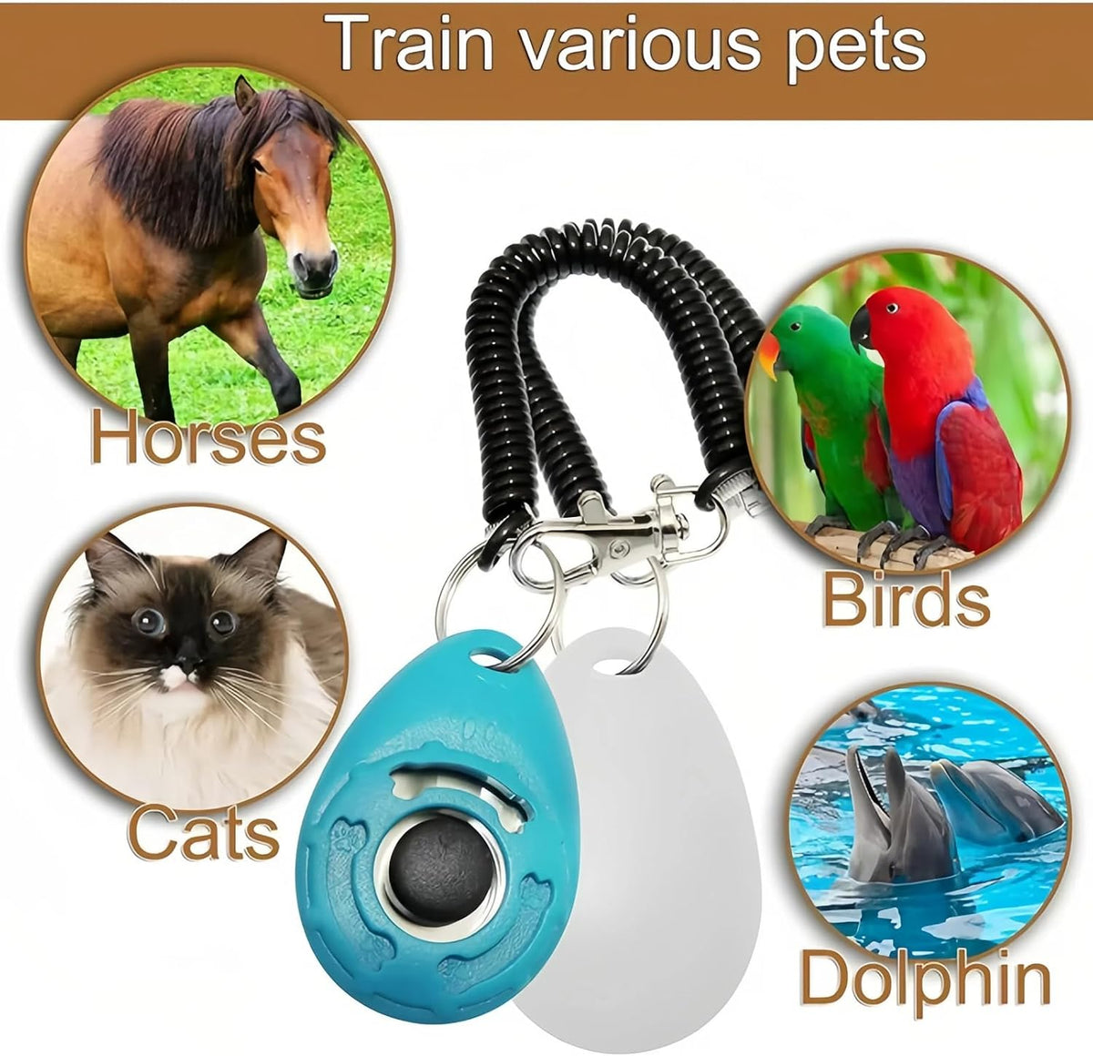 Ergonomic lightweight pet spy training clicker with large button
