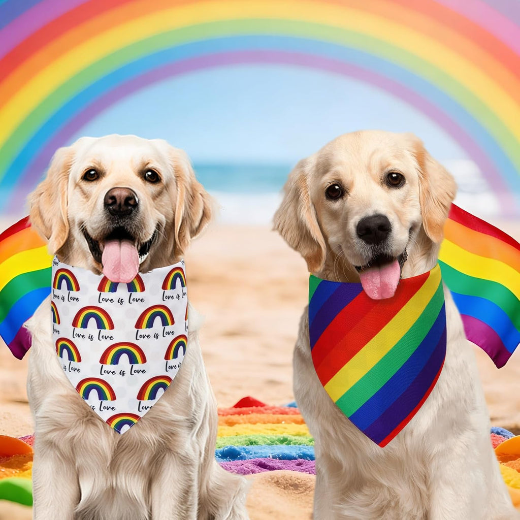 Detail of Love is Love print on pet bandana