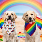 Detail of Love is Love print on pet bandana