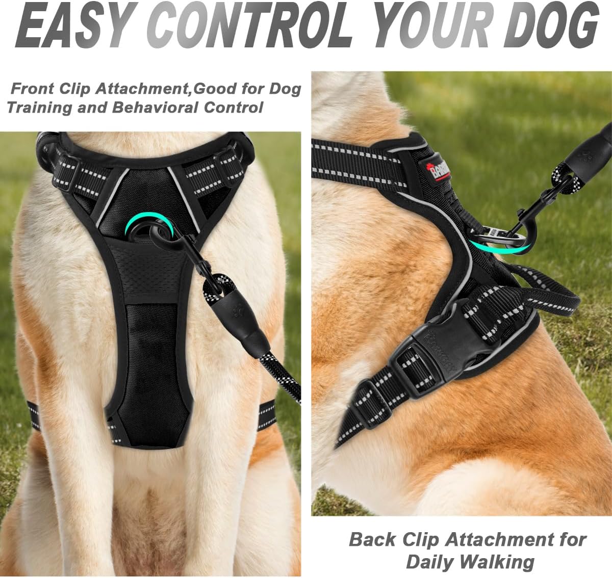 Large black dog wearing barkbay reflective harness