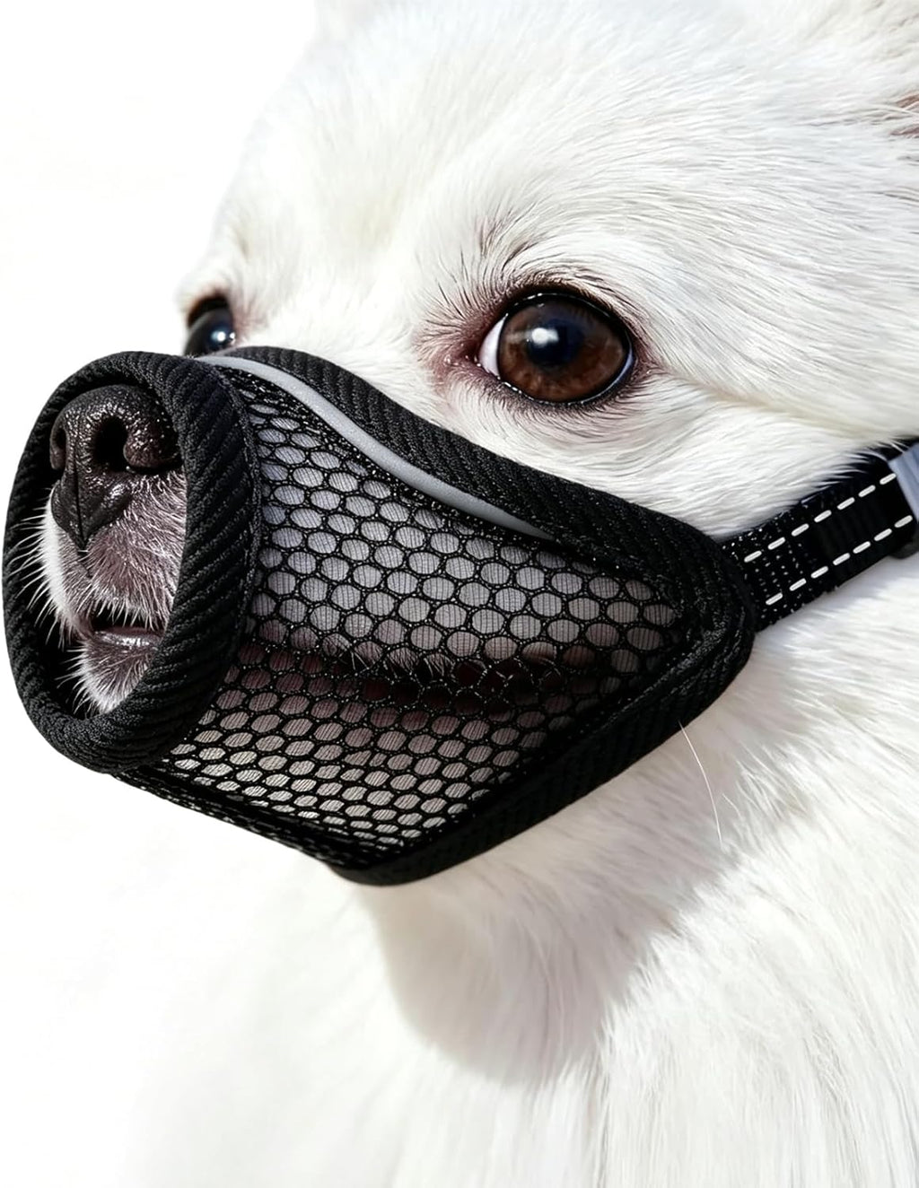 MoiiLavin soft mesh dog muzzle for small dogs front view