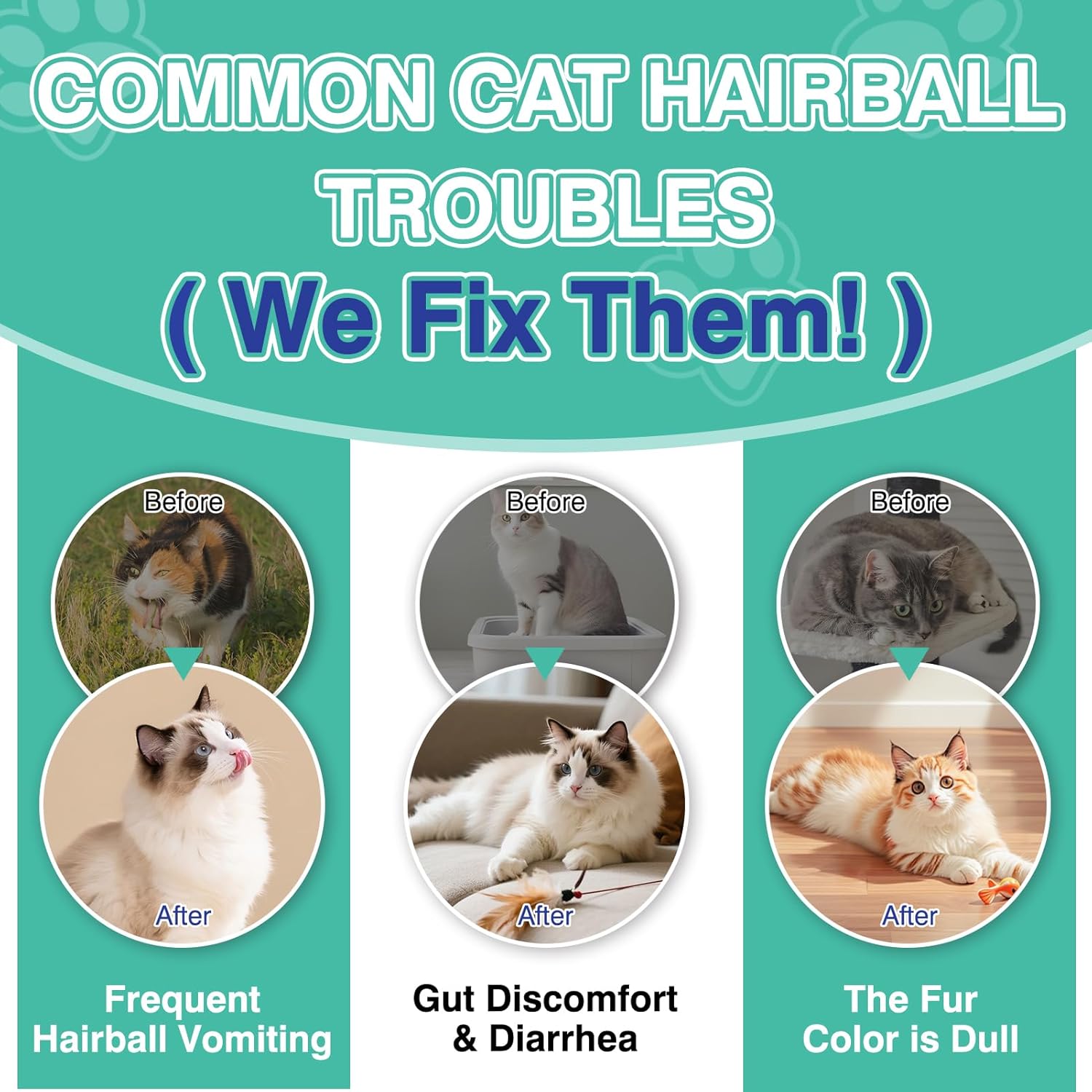 Premium indoor cat hairball prevention treats container close up