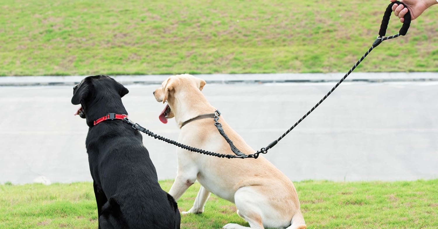 iYoShop dual dog leash hardware view showcasing the anti tangle attachment system for two pets.