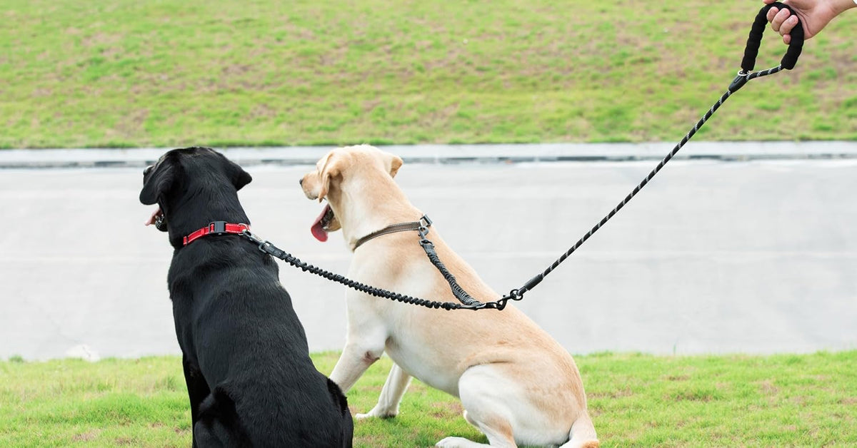 iYoShop dual dog leash hardware view showcasing the anti tangle attachment system for two pets.