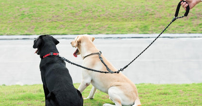 iYoShop dual dog leash hardware view showcasing the anti tangle attachment system for two pets.