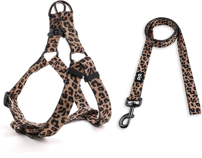 QQPETS Dog Harness Leash Set Adjustable Heavy Duty No Pull Halter Harnesses for Small Medium Large Breed Dogs Back Clip Anti-Twist Perfect for Walking - Image 11