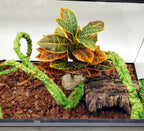 Keruideng artificial foliage arranged inside a glass reptile enclosure