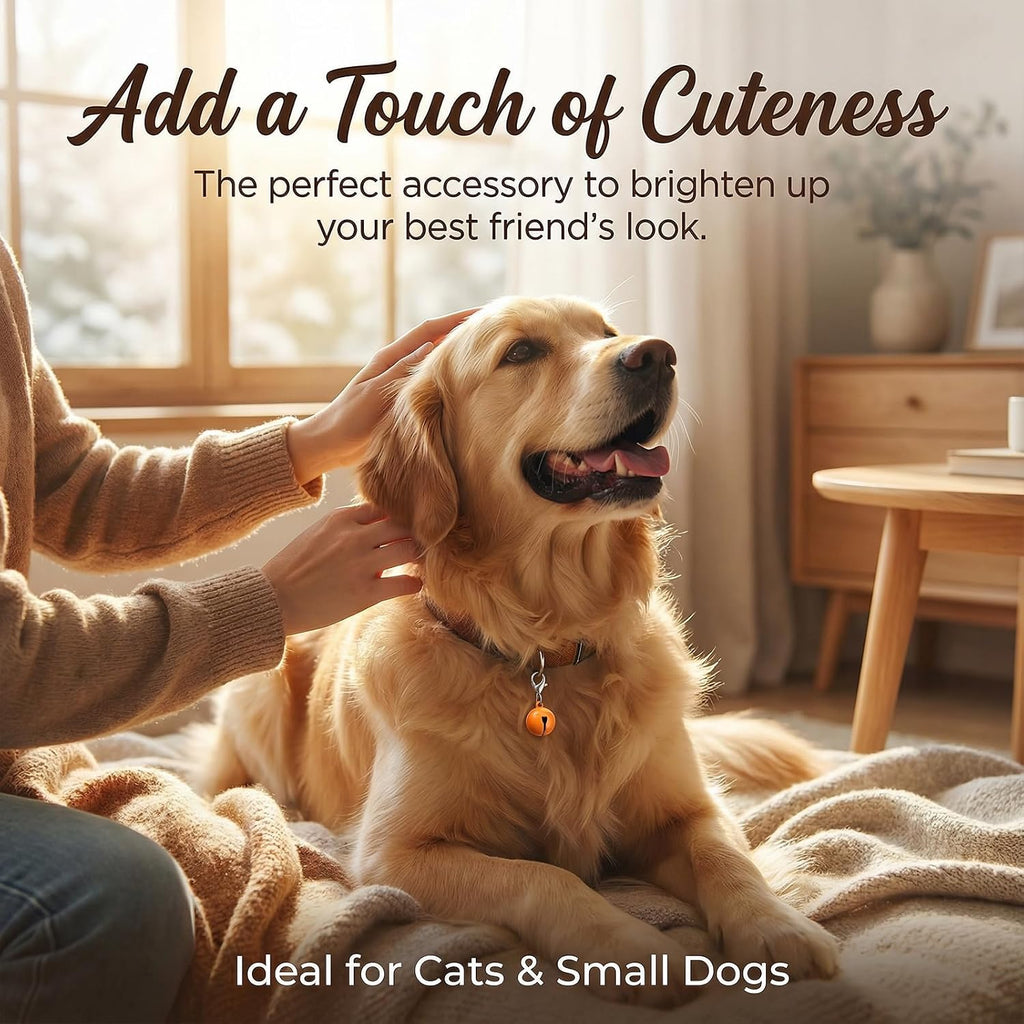 Assorted small decorative steel pet charms being attached to a standard breakaway kitten collar.