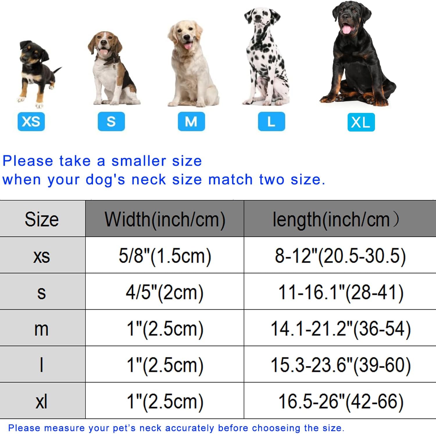 DOGWONG spring summer female dog collar fabric texture