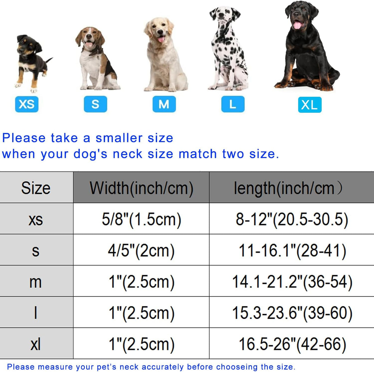 DOGWONG spring summer female dog collar fabric texture