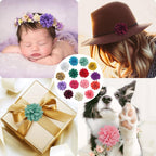 URABLAZ pet floral grooming accessories in diverse holiday color patterns