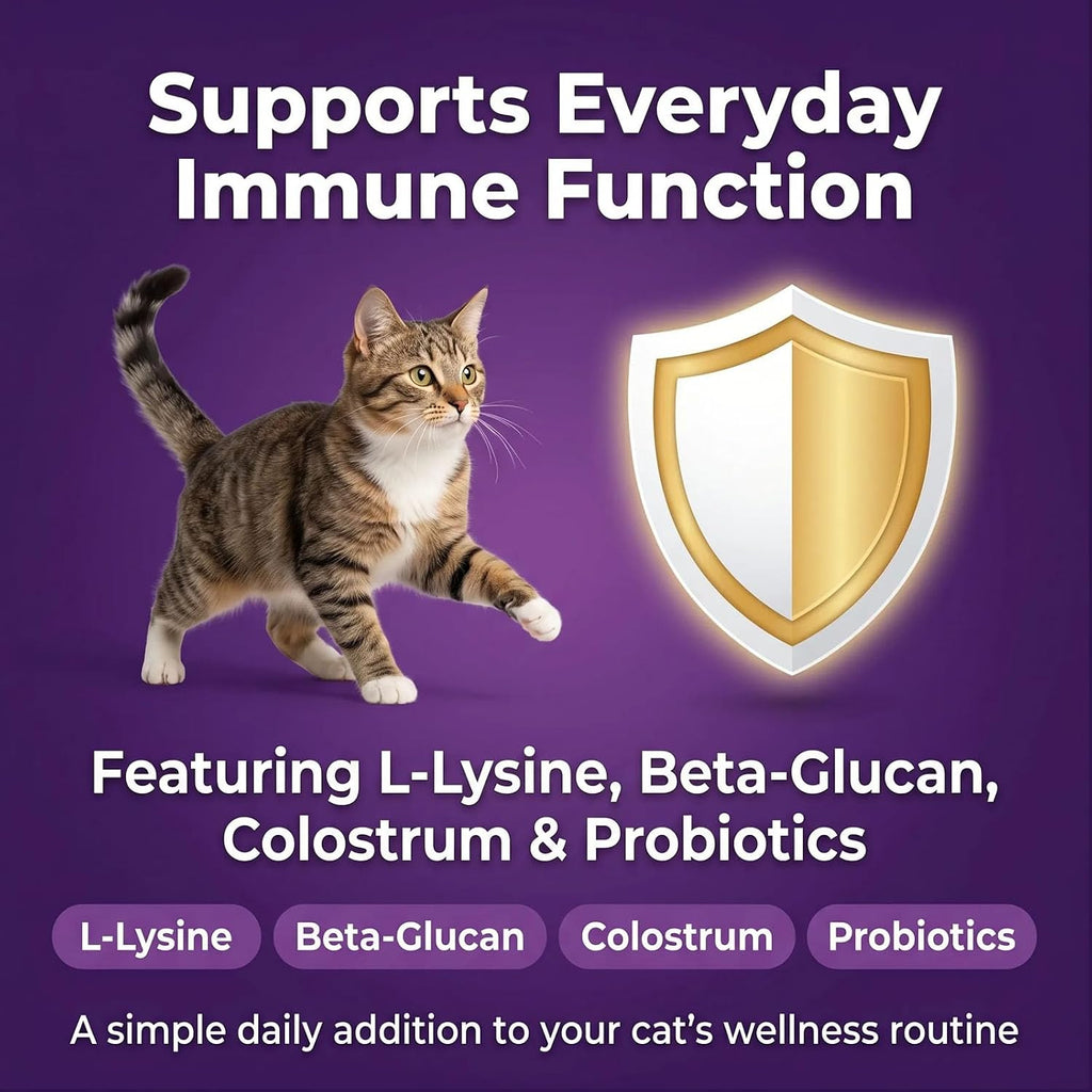 Back label view of feline vision and antibody support supplement directions.