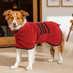 Happy dog wearing blue HezzLuv bath robe drying coat