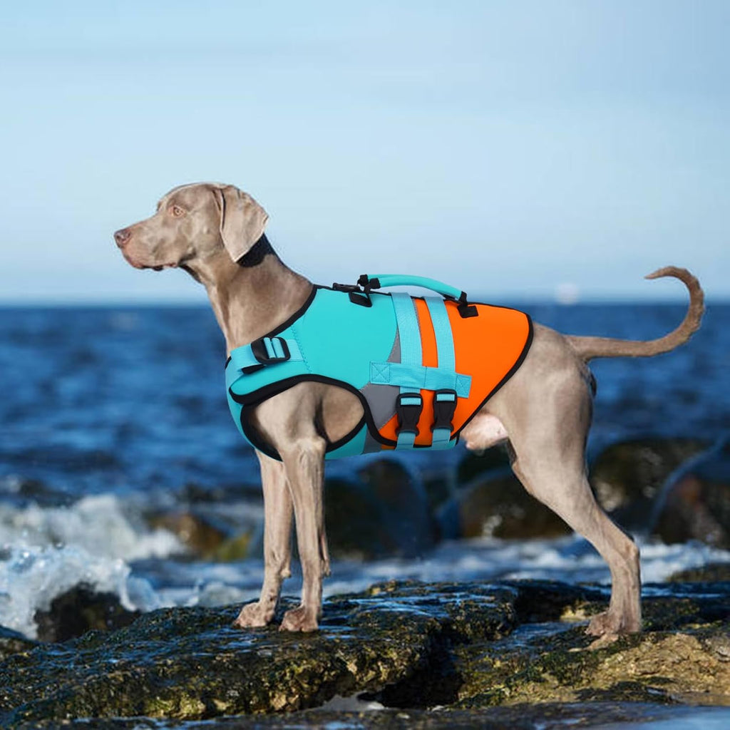Kuoser Dog Life Jacket with Reflective Strips, High Visibility Dogs Swim Vest with Rescue Handle, Adjustable Dog Life Vest for Swimming, Boating, Pool & Beach, Doggy Lifejacket Small Medium Large Dogs - Image 9
