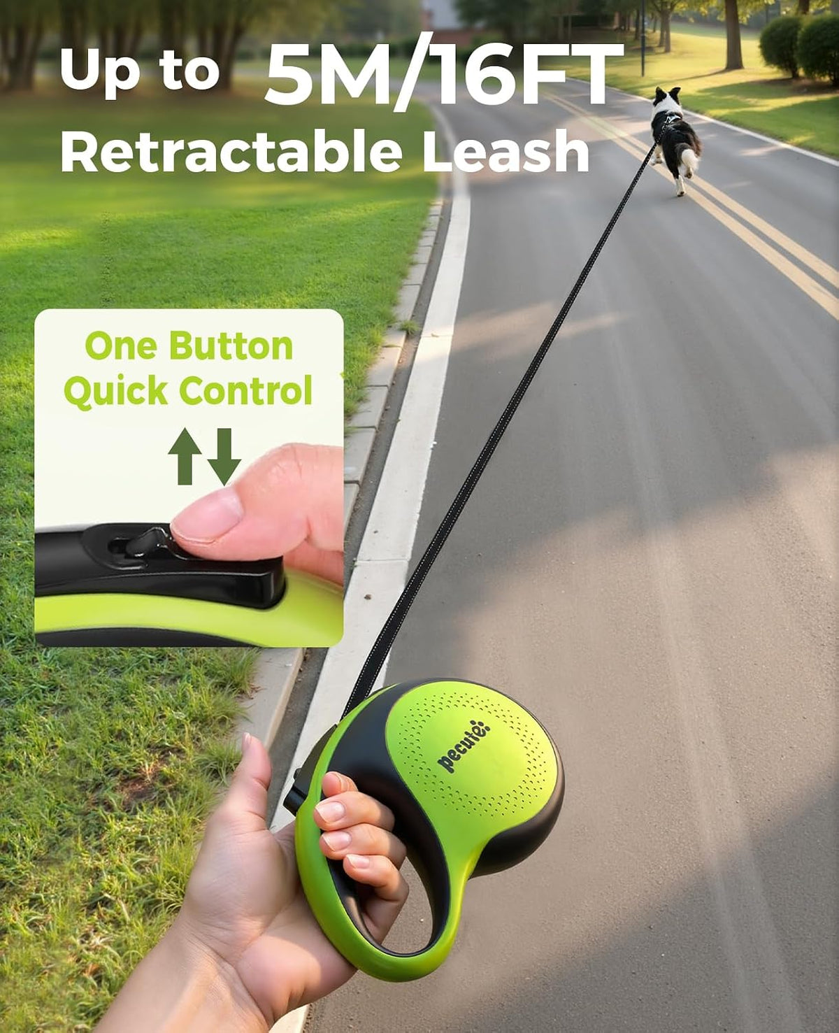 Close up of Pecute 360 degree tangle-free leash outlet