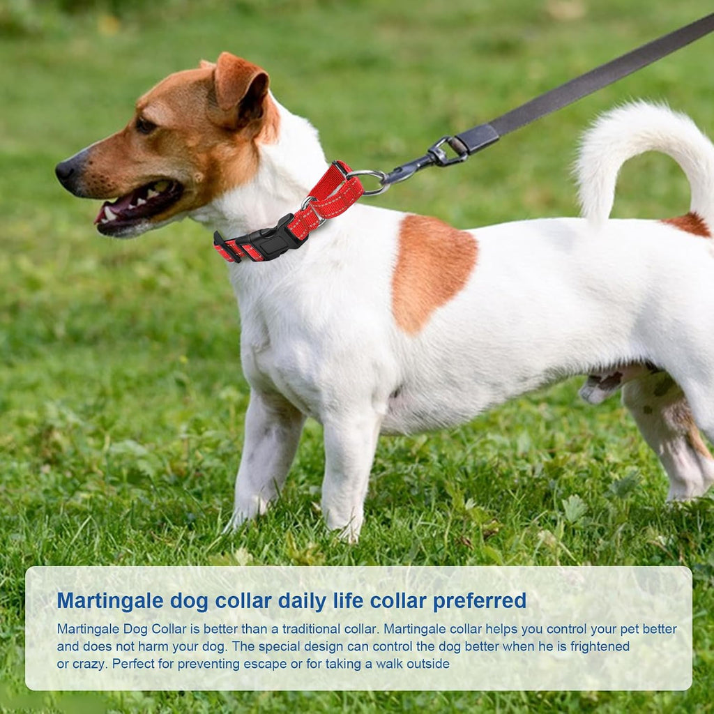 GDLKPS reflective pet collar adjusting strap and durable metal hardware details.