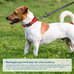 GDLKPS reflective pet collar adjusting strap and durable metal hardware details.