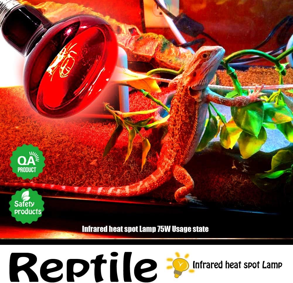 Close-up of the E27 screw cap thread base on the MCLANZOO reptile heating light.