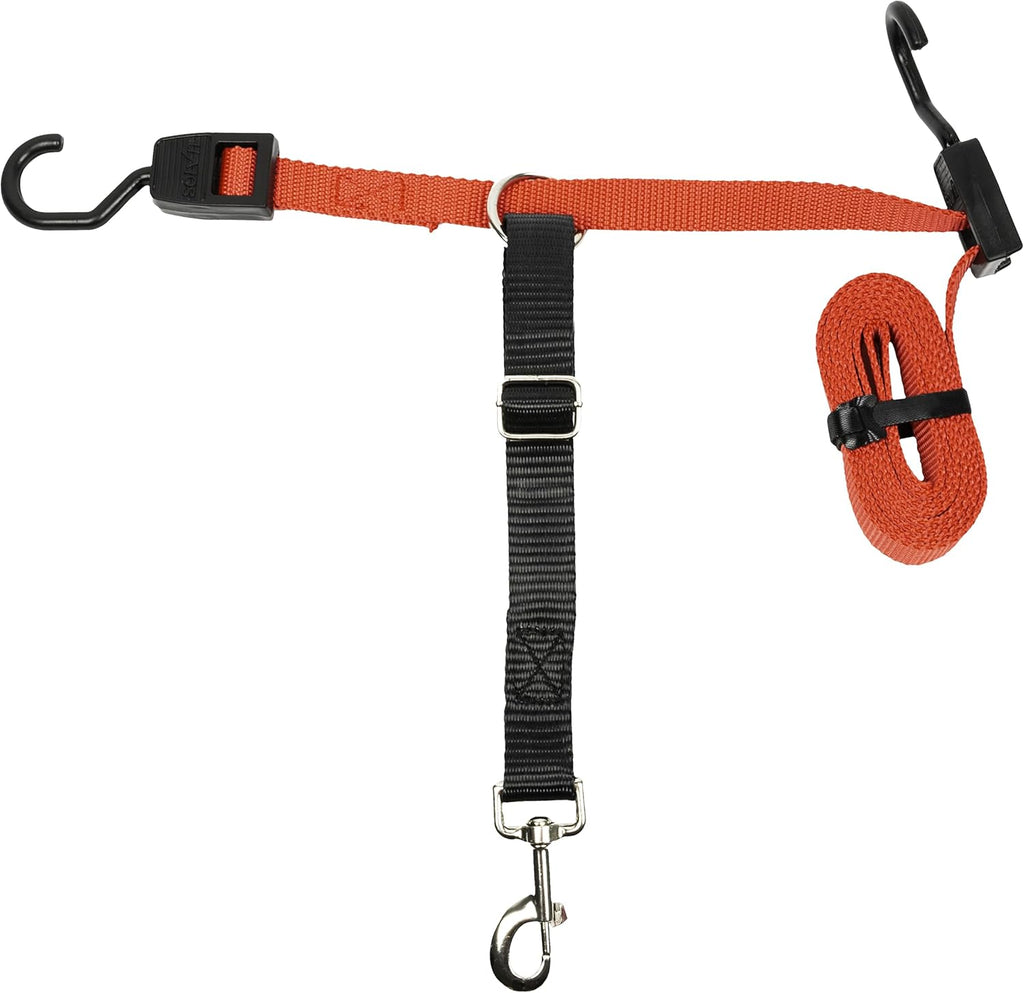 PetSafe Happy Ride Dog Zipline installed in a car backseat