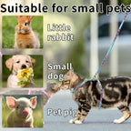 Small and medium cat harness with matching leash attached