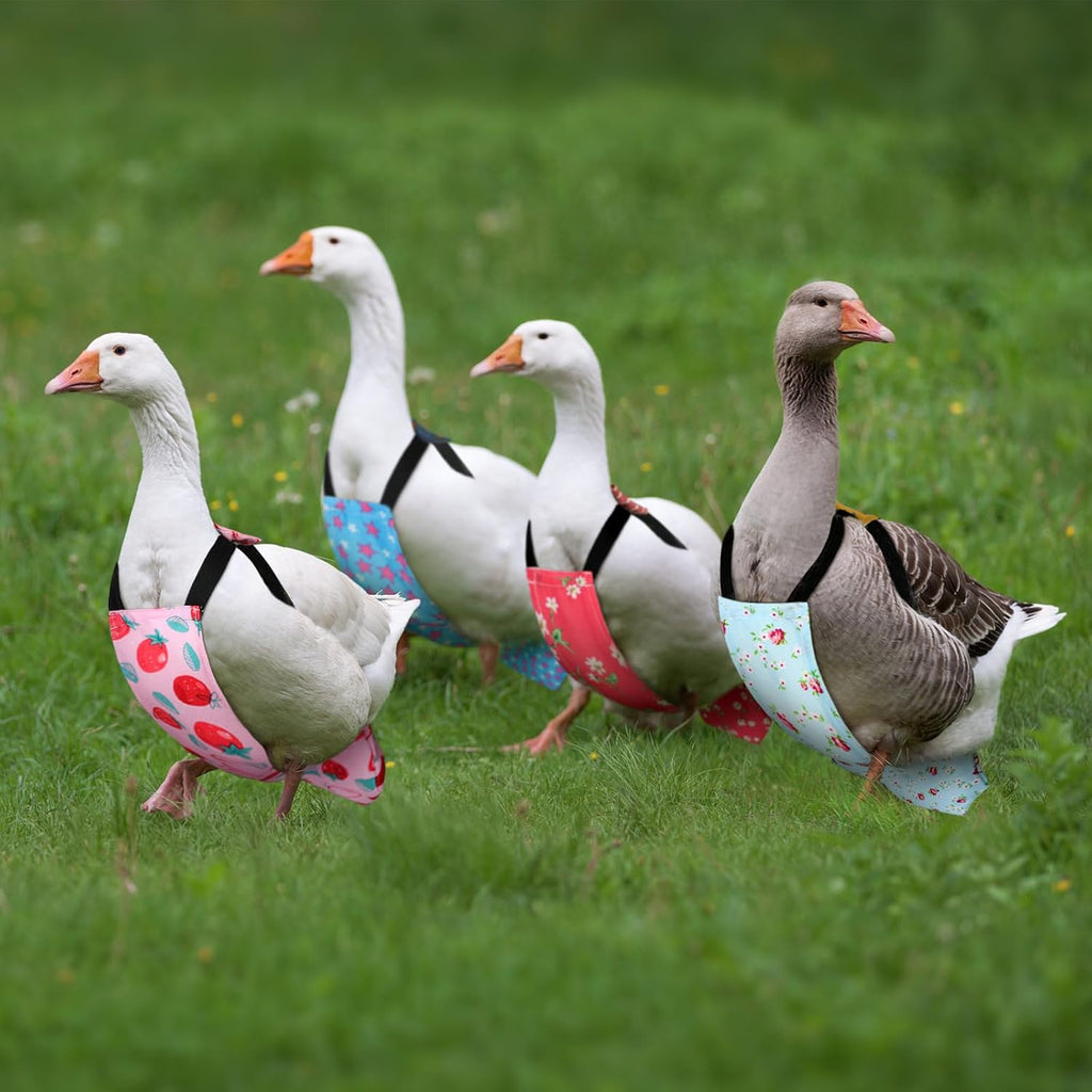Six piece set of washable duck and chicken nappies in various patterns
