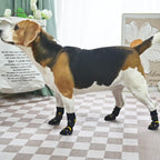 Various sizes of Scenereal anti-slip socks for different breeds
