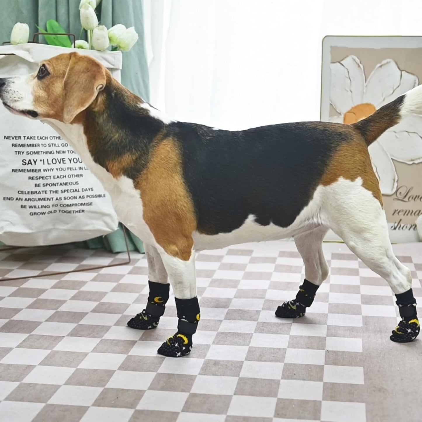 Various sizes of Scenereal anti-slip socks for different breeds