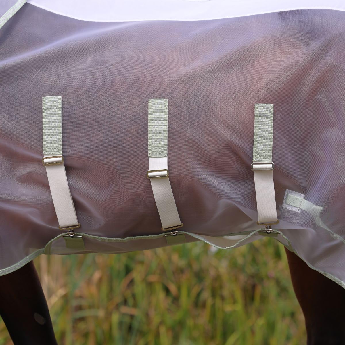 Close-up of the triple-strapped belly band on the Shires fly sheet.