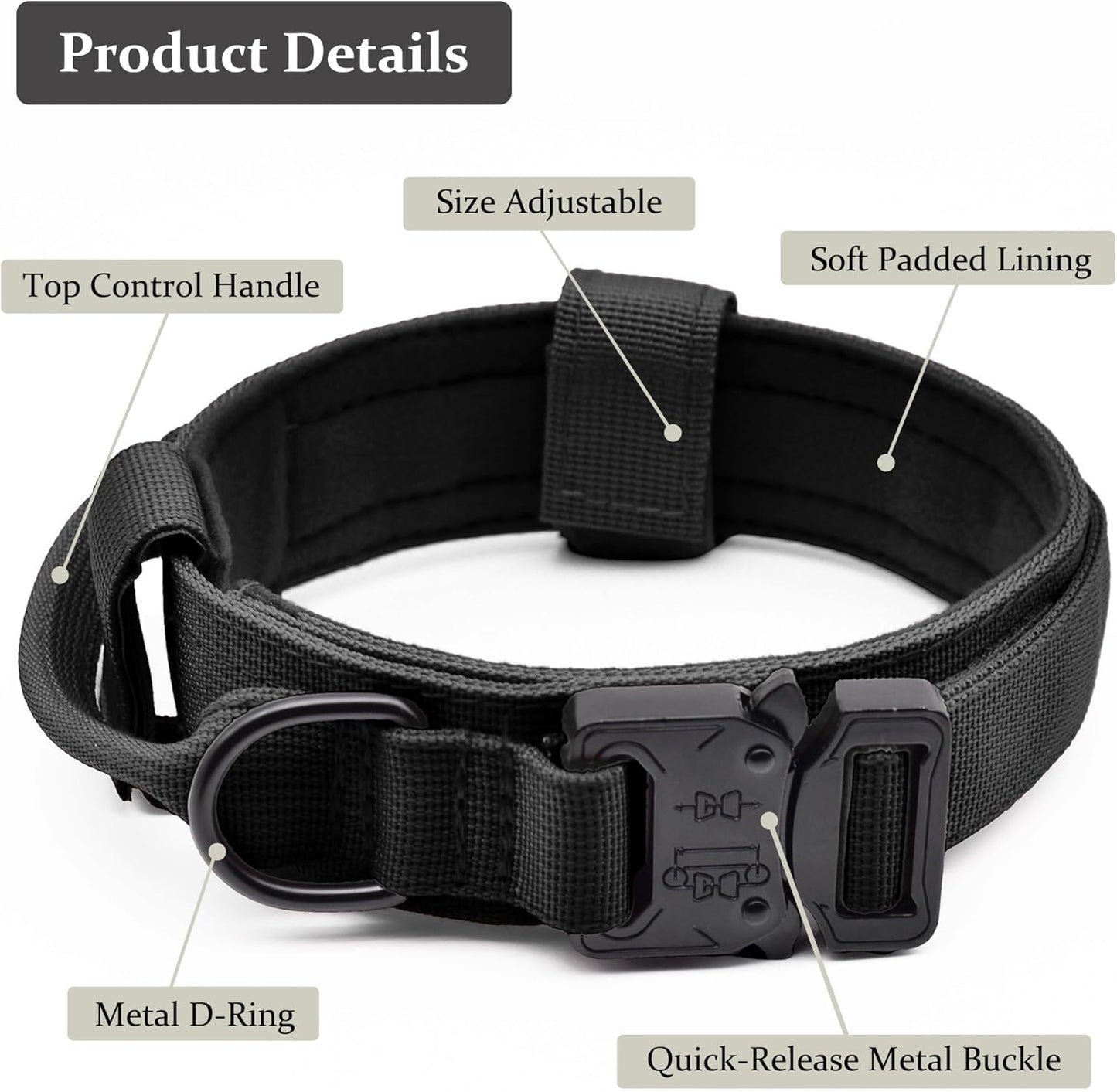 Cadono nylon dog collar with metal buckle close up