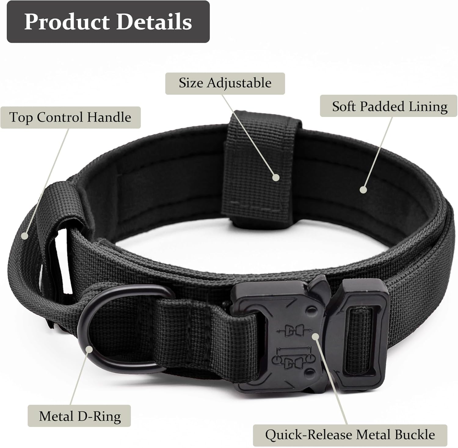 Cadono nylon dog collar with metal buckle close up