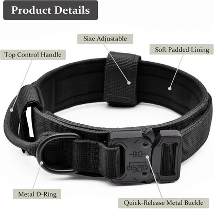 Cadono nylon dog collar with metal buckle close up