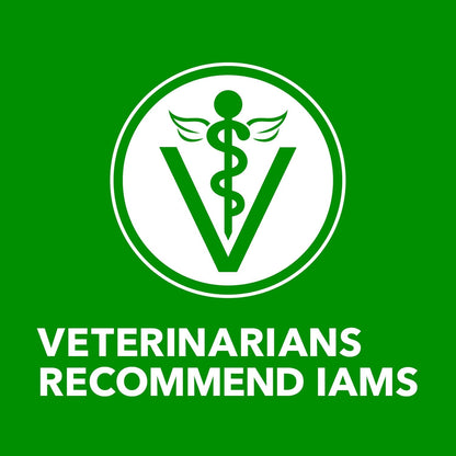 IAMS Proactive Health Senior Wet Dog Food, Classic Ground Dog Wet Food, Slow Cooked Chicken and Rice, 13 oz. Cans (Pack of 12) - Image 9