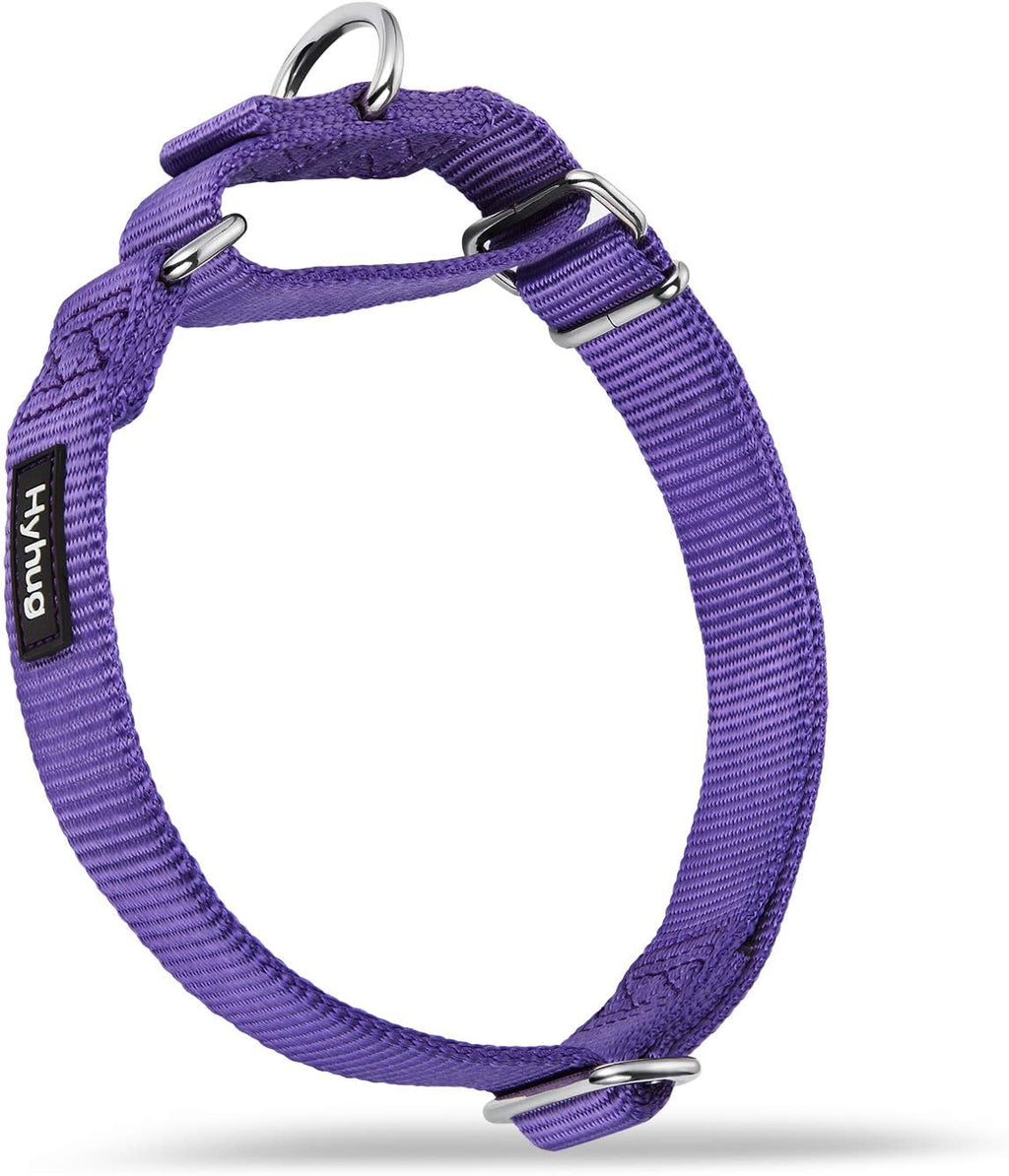 Authentic imported USA pet safety accessory displaying secure metal rings