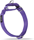 Authentic imported USA pet safety accessory displaying secure metal rings