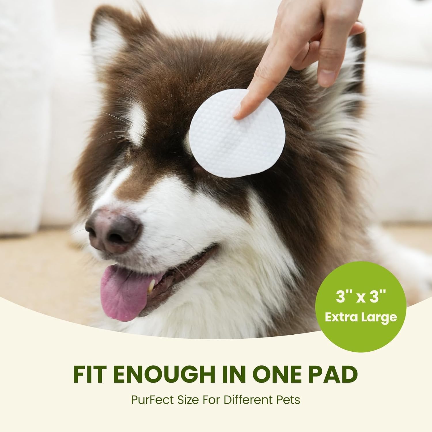 Biodegradable pet grooming wipes for sensitive skin on a clean minimalist background