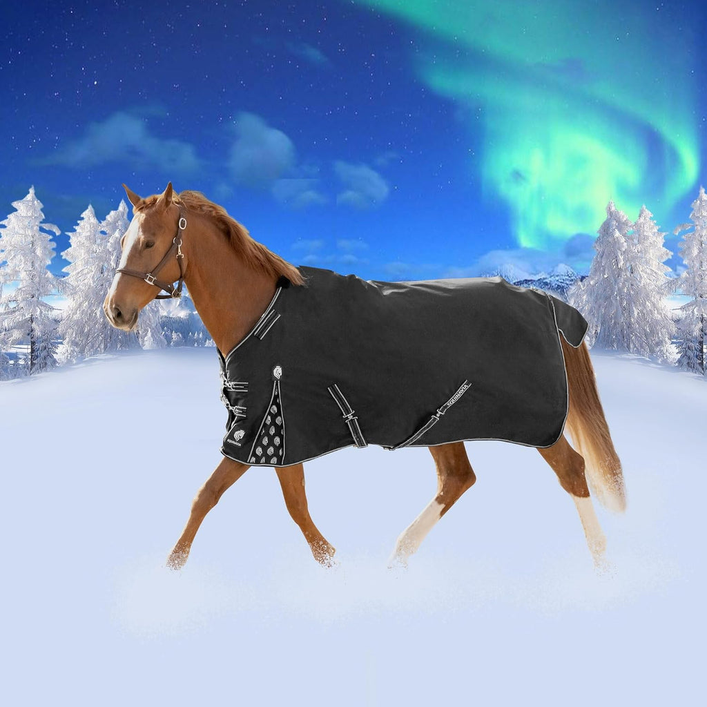 Equinavia 200g turnout blanket adjustable quick release chest buckles close up