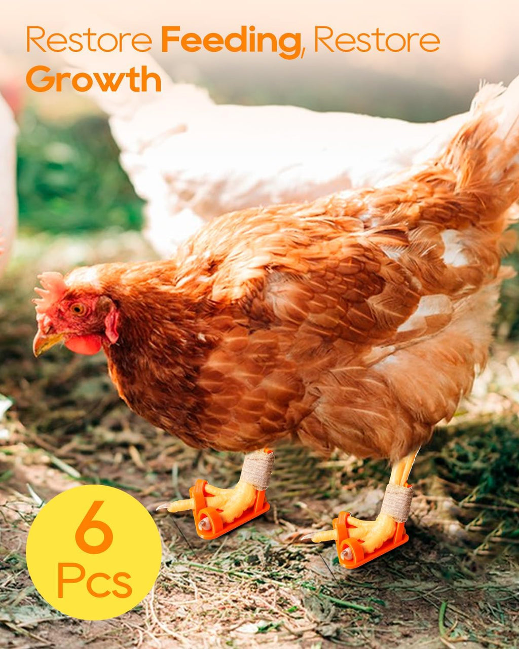 DHOEM plastic chicken splints for splay leg treatment