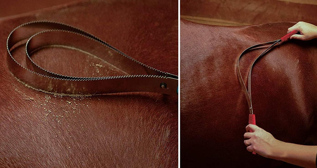 NRTFE horse brush scraper loop configuration for long hair dog undercoat removal