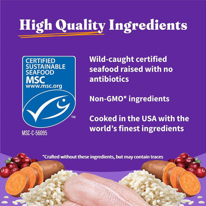 Back of Halo Holistic dry cat food bag with feeding guide
