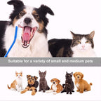 Newday dental care set for dogs and cats in bulk box