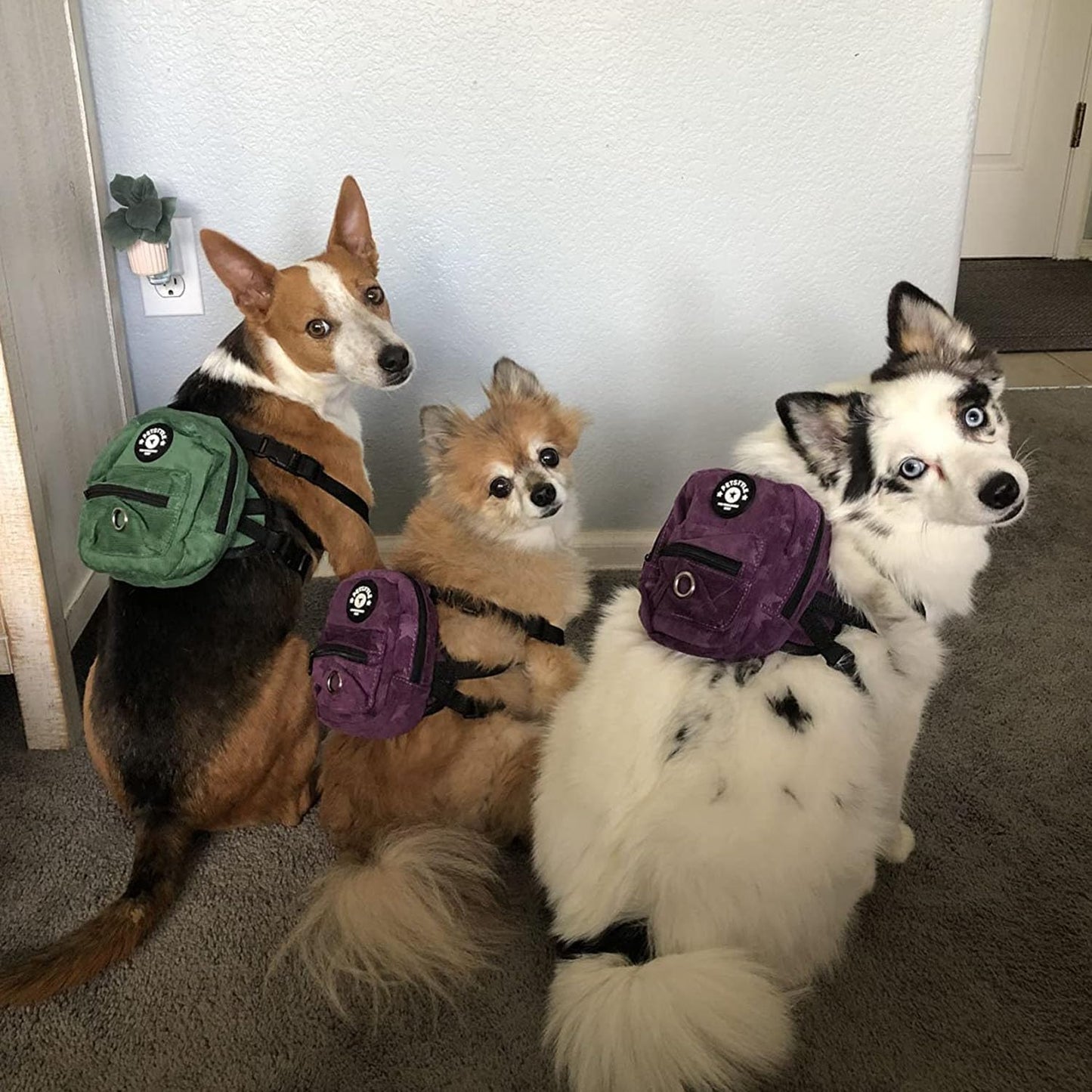 FLAdorepet dog self carrier zipper compartment open showcasing storage space for treats and bowls