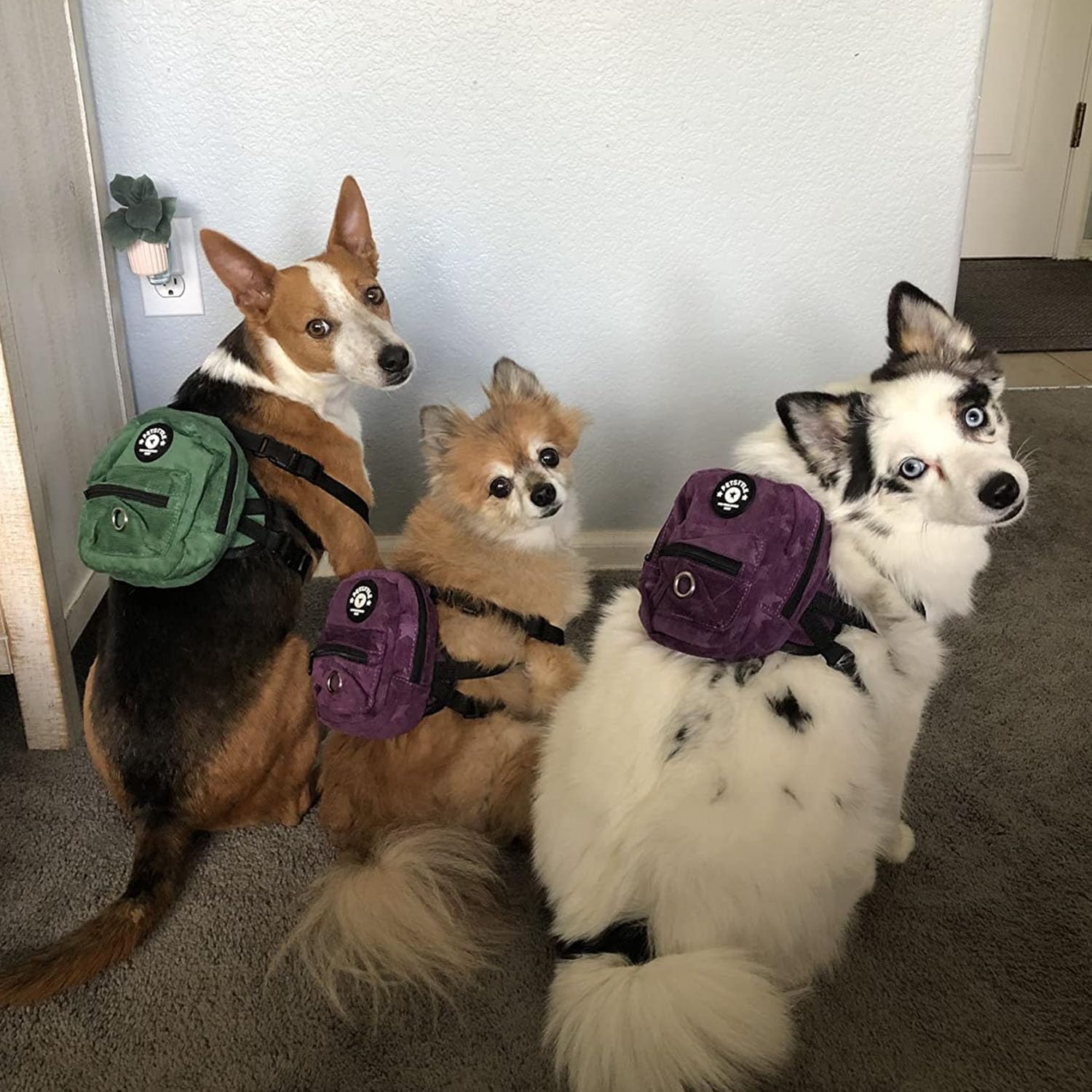 FLAdorepet dog self carrier zipper compartment open showcasing storage space for treats and bowls
