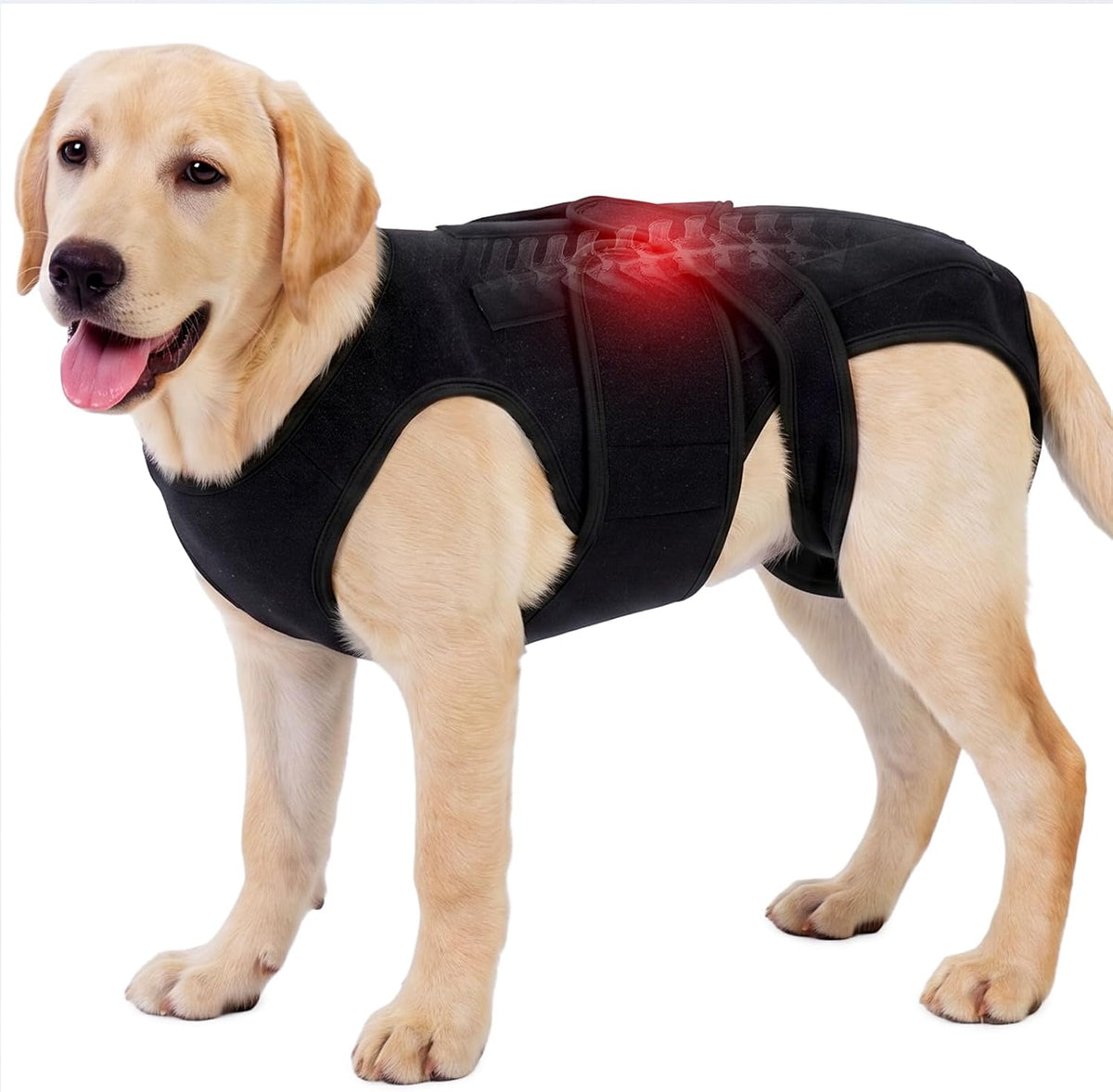 Dog Back Brace for IVDD Recovery, Adjustable Dog Spine Support Harness for Dachshund Corgi French Bulldog Pug, Pain Relief Back Protector for Senior,PostSurgery,LongBodied & Overweight Dogs, S - Image 9
