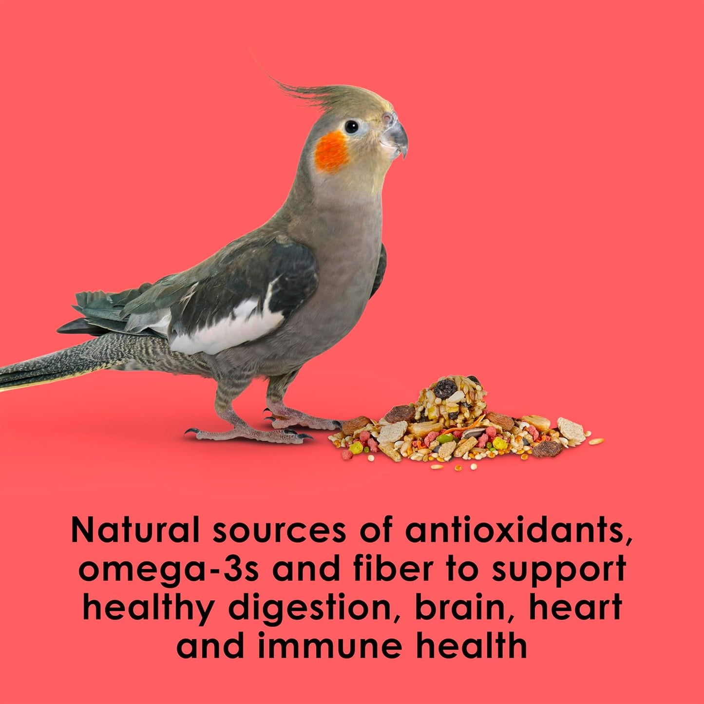 Kaytee Fiesta premium bird diet formulation chart focusing on digestive and brain health.